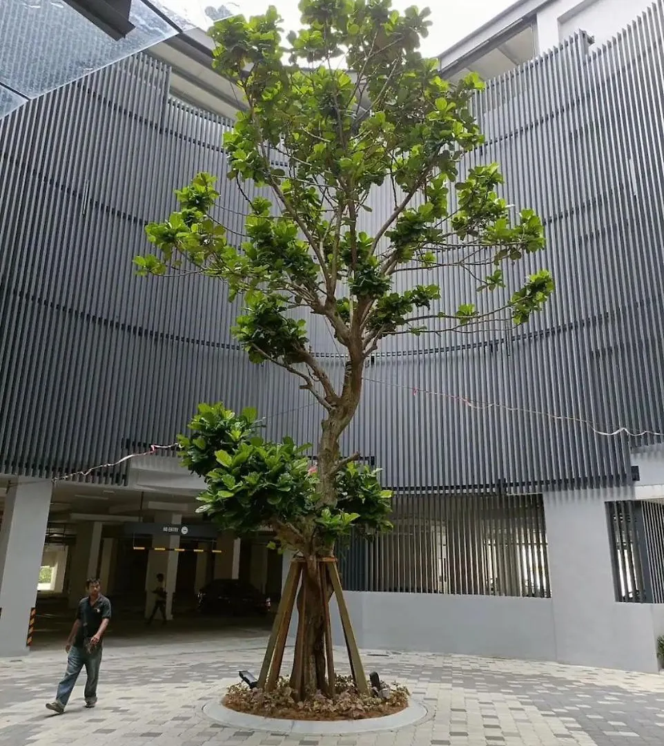 乐乐窝new Apartment Netflix Aeon 3Guest Johor Bahru Malaysia